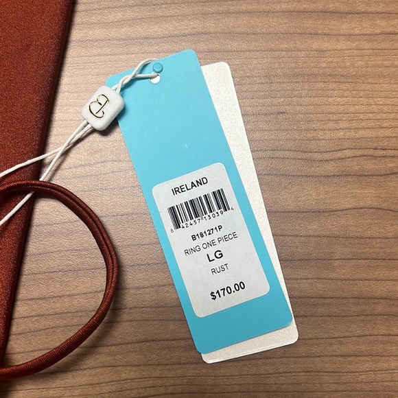 Rust Beach Bunny One Piece - Picture 3 of 3